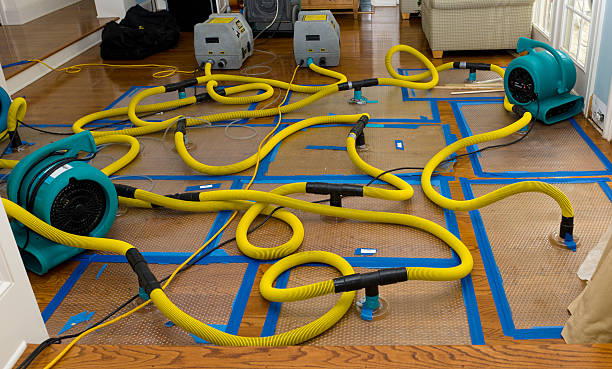 Professional Structural Drying And Dehumidification technician working in Minden, WV